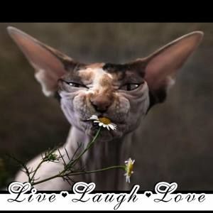 Meet your Posher, Juli